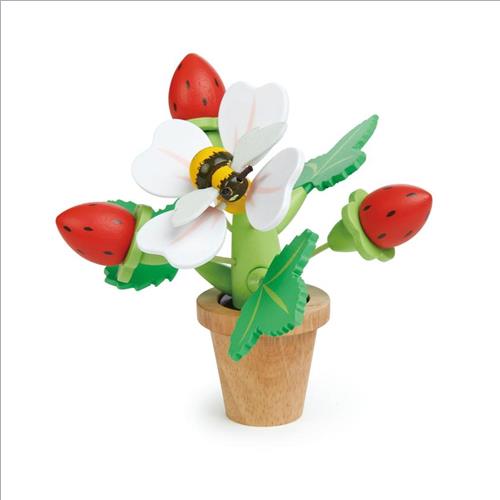 mini playset vaso di fragole