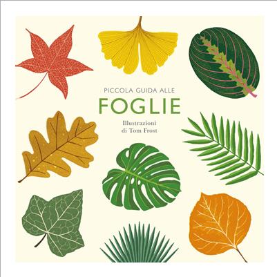 piccola guida alle foglie