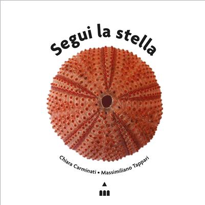 segui la stella