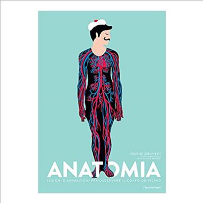 anatomia. un libro animato e intagliato