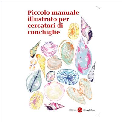 conchiglie piccolo manuale illustrato