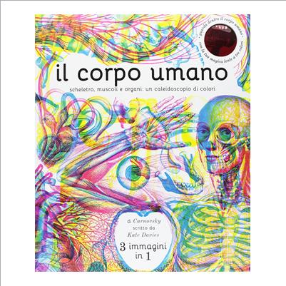 il corpo umano con lente a tre colori