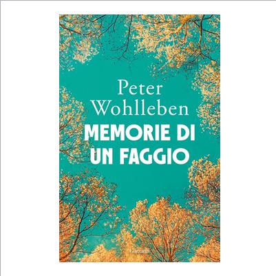 memorie di un faggio