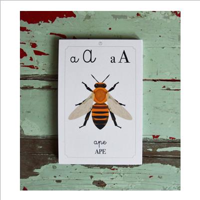 alfabetiere della natura