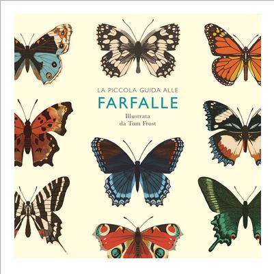piccola gui9da alle farfalle