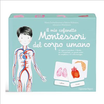 il cofanetto montessori corpo umano