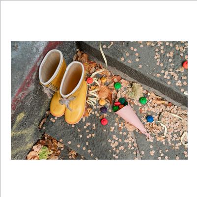 mandala element fiori arcobaleno