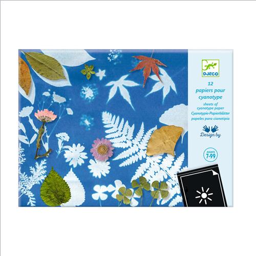 carta speciale per cianotipia