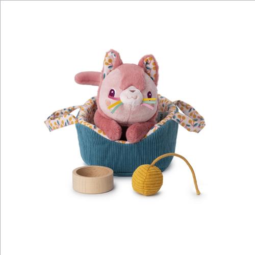 gatto jeanne e il suo cestino