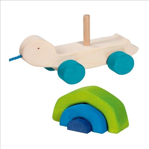 animaletto da traino. tartaruga