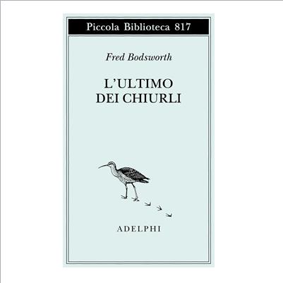 l'ultimo dei chiurli