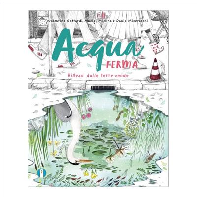 acqua ferma. riflessi dalle terre umide