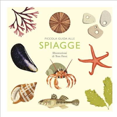 piccola guida alle spiagge