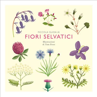 piccola guida ai fiori selvatici