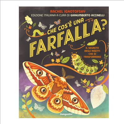 che cos'è una farfalla?