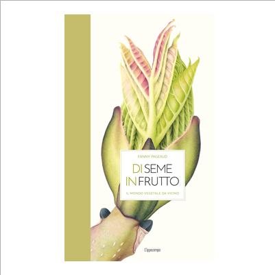 di seme in frutto