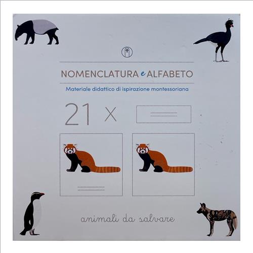 nomenclatura e alfabeto