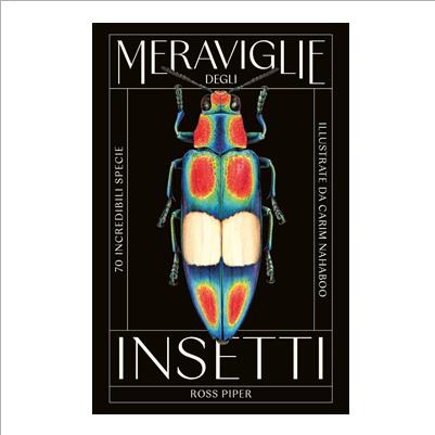 meraviglie degli insetti