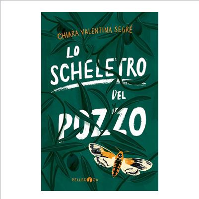 lo scheletro del pozzo