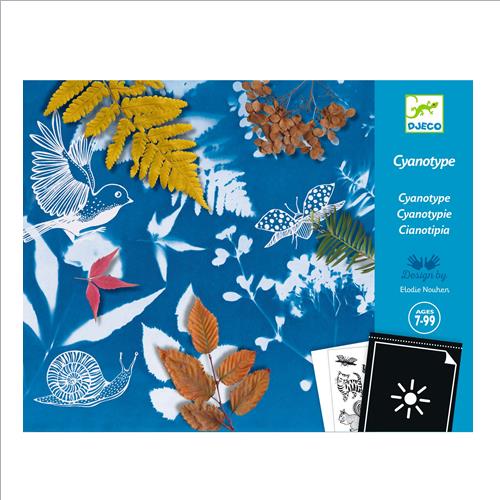 cianotipia. starter kit