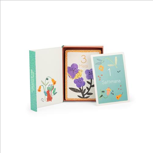 i miei primi 12 mesi. la foret mawa