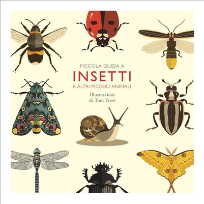 piccola guida a insetti