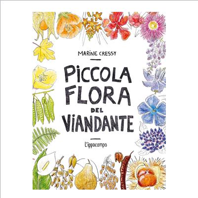 piccola flora del viandante