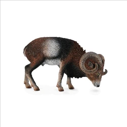 muflone europeo