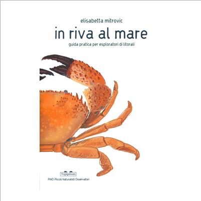 in riva al mare