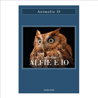 alfie e io
