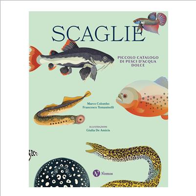 scaglie piccolo catalogo di pesci