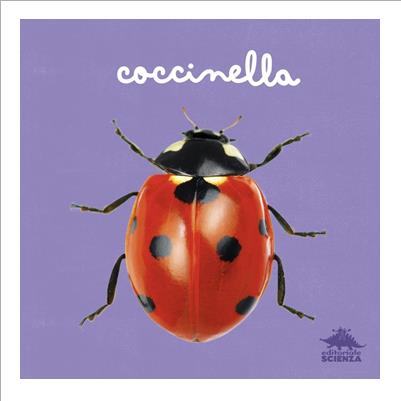 coccinella. da vicino