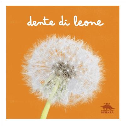 dente di leone. da vicino