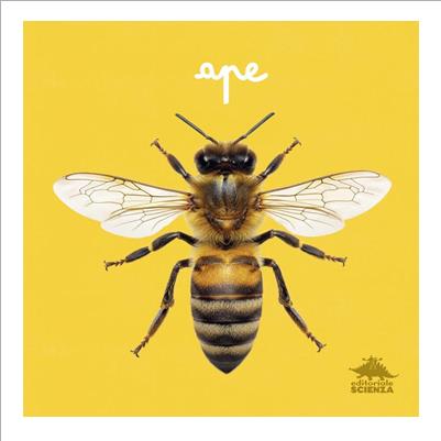 ape. da vicino