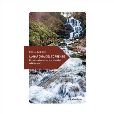 l'anarchia del torrente