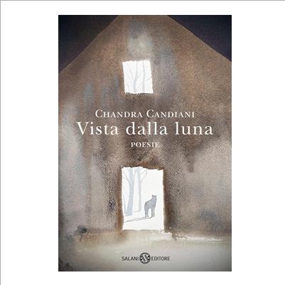 vista dalla luna