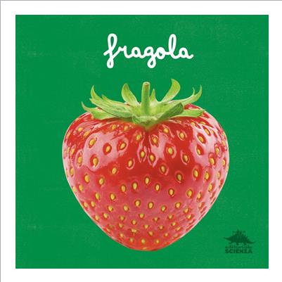 fragola. da vicino