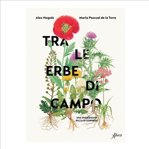 tra le erbe di campo