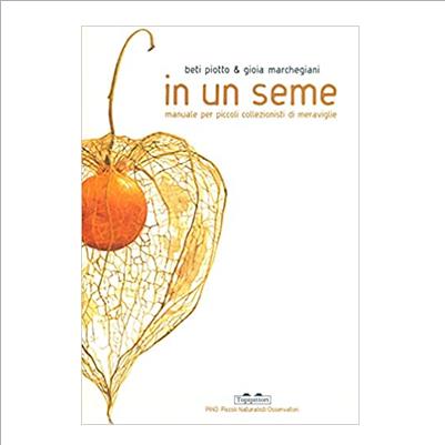 in un seme