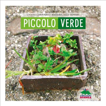 piccolo verde