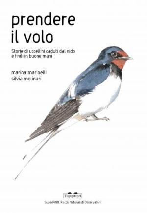prendere il volo storie di uccellini