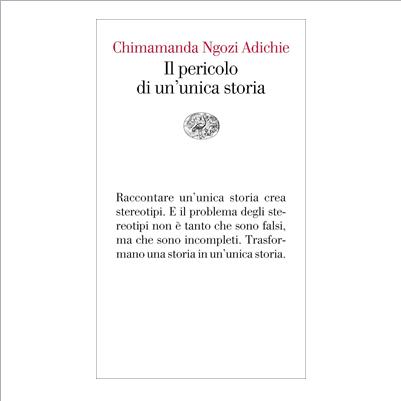 il pericolo di un'unica storia