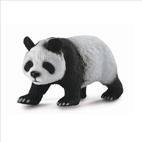 panda gigante