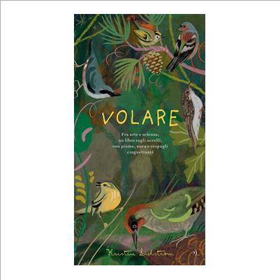 volare fra arte e scienza